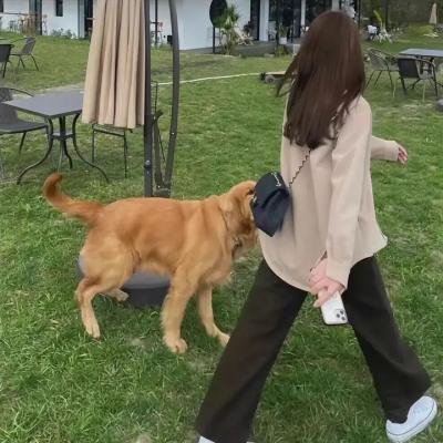 我是一个贼